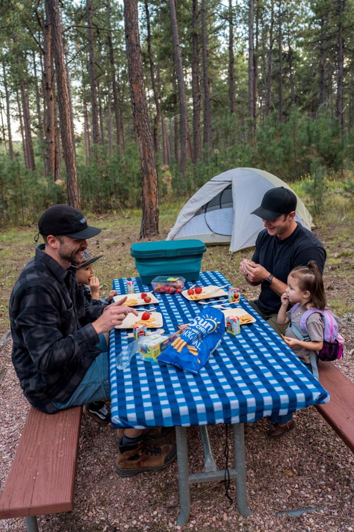 Location Image for Flat Pack Collapsible Picnic Basket