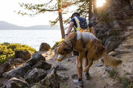 Ruffwear BackTrak Evacuation Kit 9