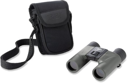 with case (gunmetal)