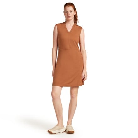 Icebreaker Merino 200 Granary V-Neck Dress 4