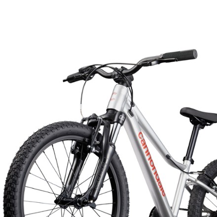 Cannondale Trail 20 Kids' Bike | REI Co-op