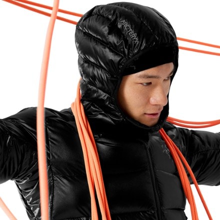 Arc'teryx Cerium SV Down Hoody - Men's 6