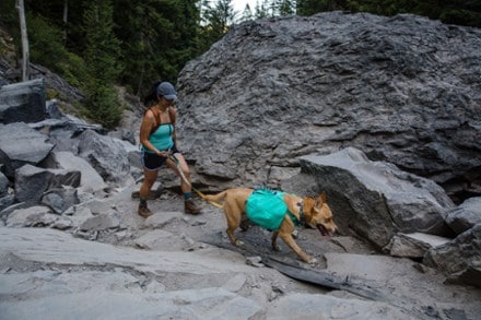 Ruffwear Front Range Dog Day Pack 6