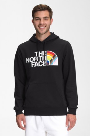 the north face pride hoodie sweatshirt