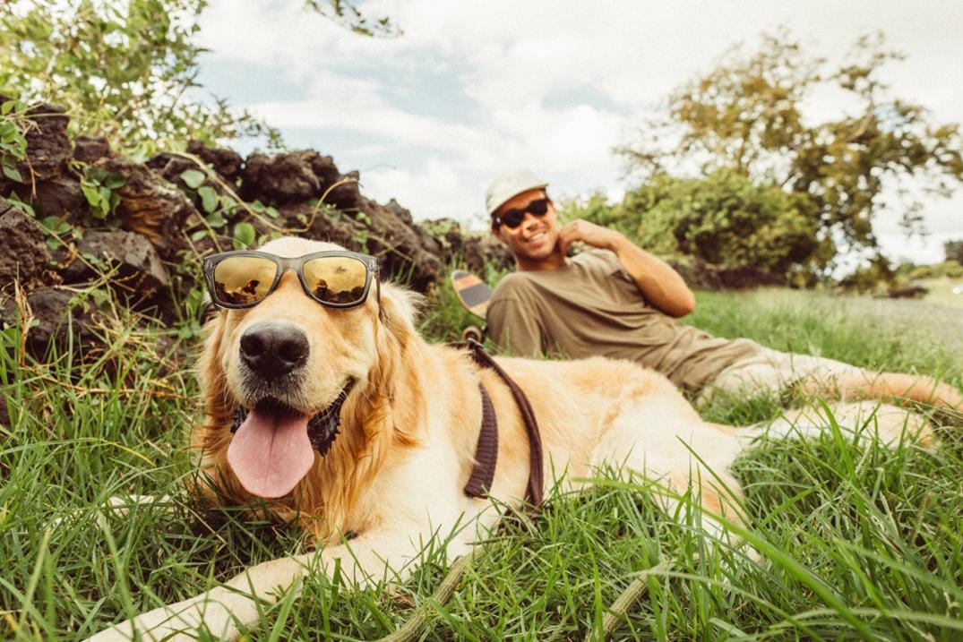 Location Image for Targa Polarized Sunglasses