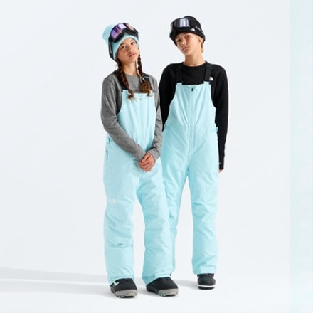 The North Face Freedom Insulated Bib Snow Pants 4