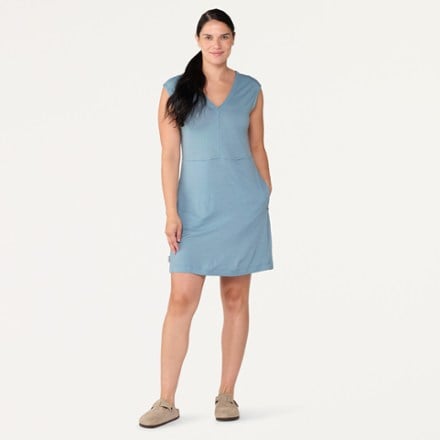 Icebreaker Merino 200 Granary V-Neck Dress 3