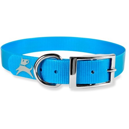 smokey the bear dog collar