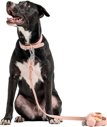 Wild One Waterproof Dog Collar Leash and poop bag carrier not included