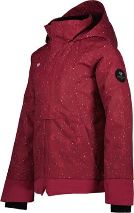 Obermeyer Taja Print Insulated Jacket - Kids' 2