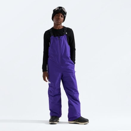 The North Face Freedom Insulated Bib Snow Pants 2