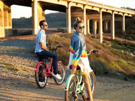 Electra Townie Go! 8D EQ Step-Through Electric Bike 10