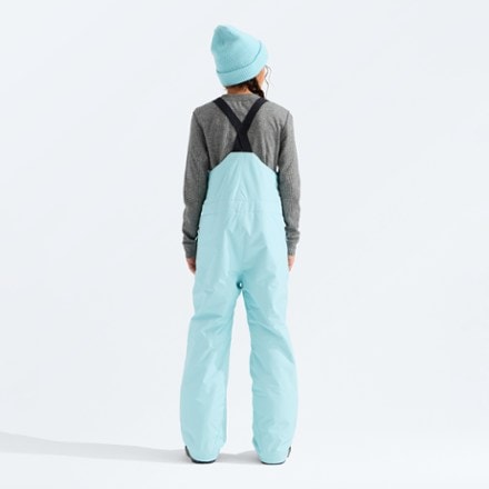 The North Face Freedom Insulated Bib Snow Pants 1