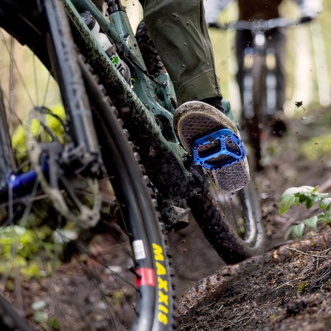 Location Image for Wave Pedals