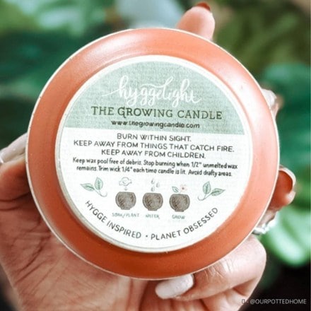 Hyggelight- The Growing Candle Edith Candle - Fire/Spice Scent 3