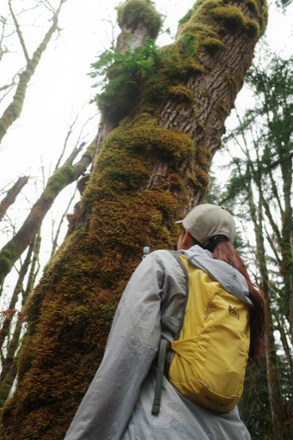 Location Image for Swiftland 5 Hydration Vest - Women's