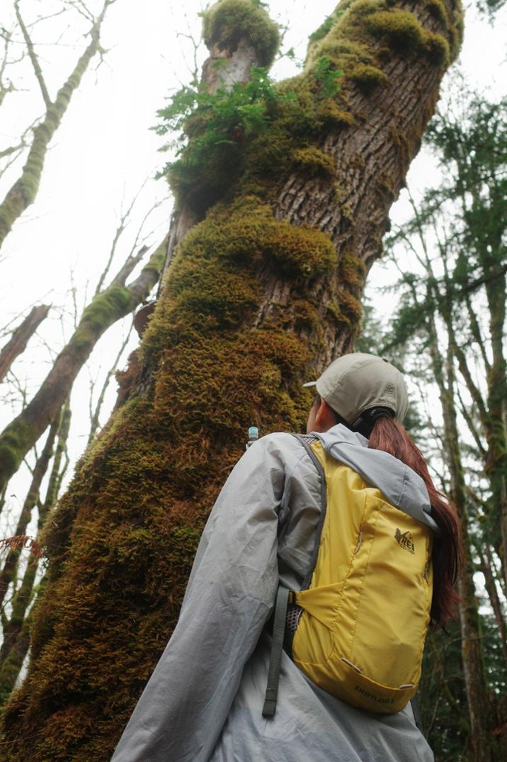 Location Image for Swiftland 5 Hydration Vest - Women's