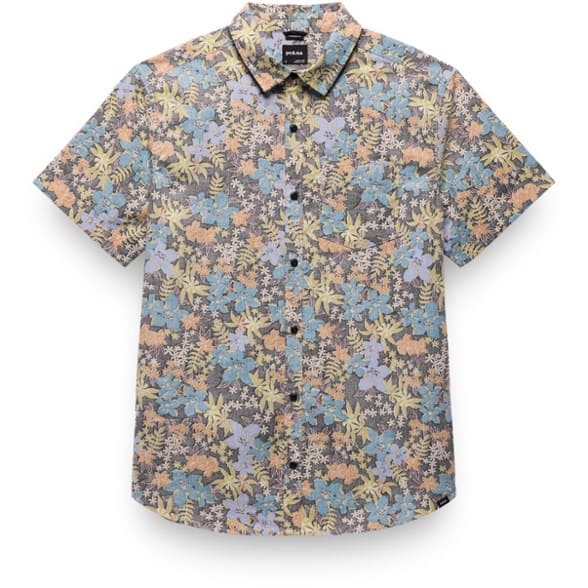 Product Image of color Black Summer Nights