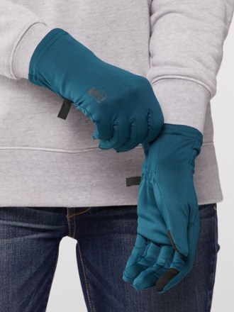 REI Co-op Switchback GTX Mittens 2.0 4