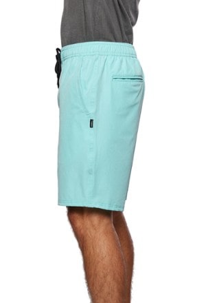 O'Neill Reserve E-Waist Shorts - Men's 4