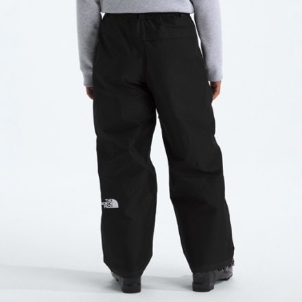 The North Face GTX Hex Snow Pants - Women's 1
