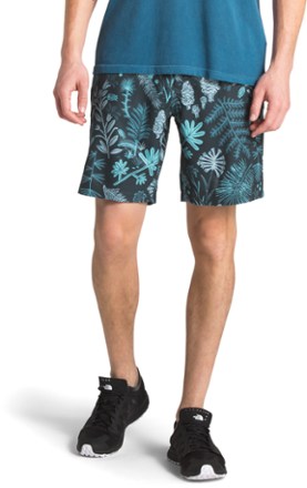 north face rolling sun shorts