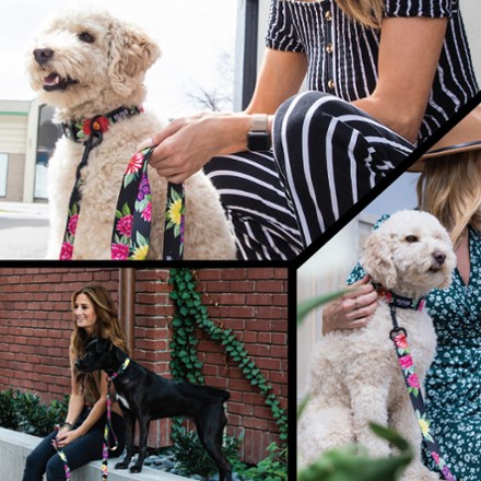 Wolfgang Man & Beast DarkFloral Collar 3