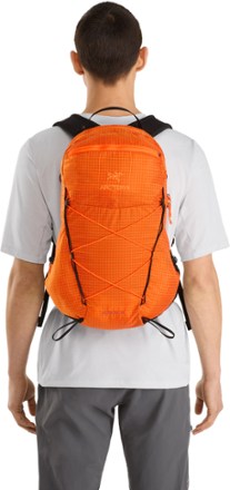 Arc'teryx Aerios 15 Pack - Men's 7