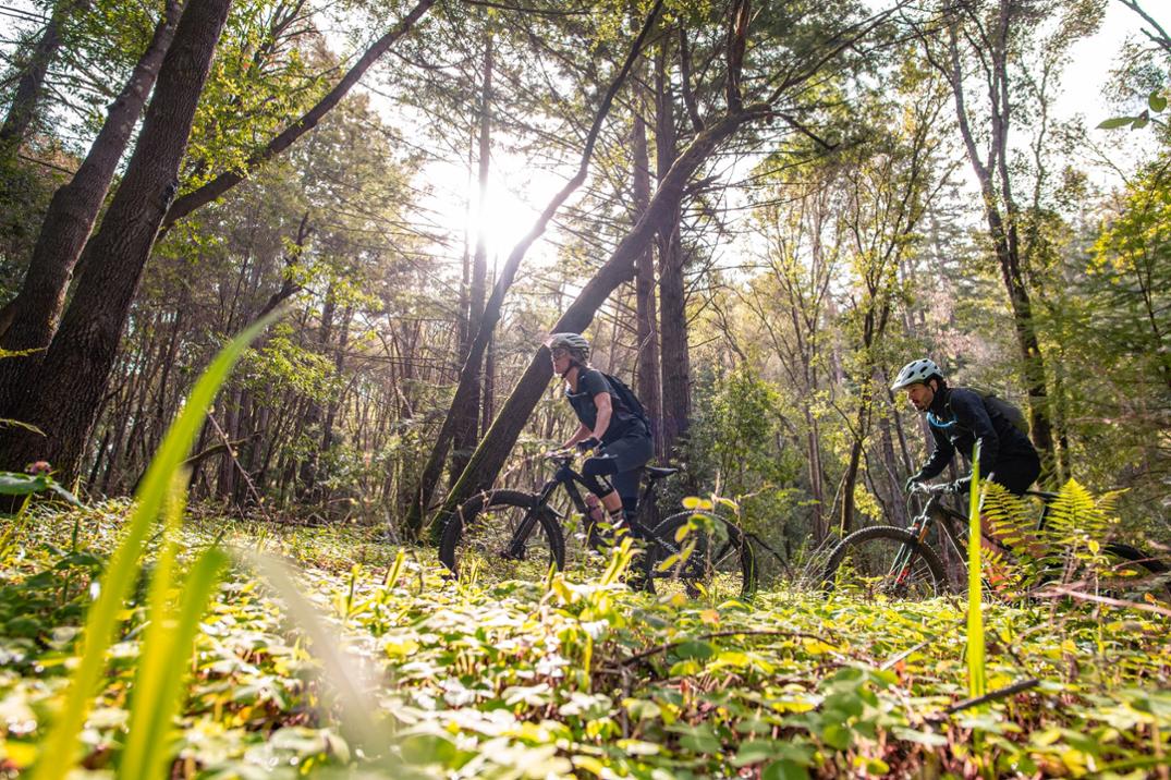 Location Image for Lobo Hydration Pack - Women's