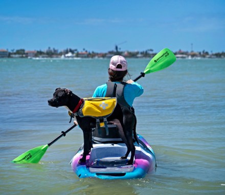 Perception 3-piece Hi-Life Kayak and Stand Up Paddle 2