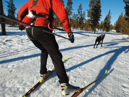 Skatejoring (Red Currant)