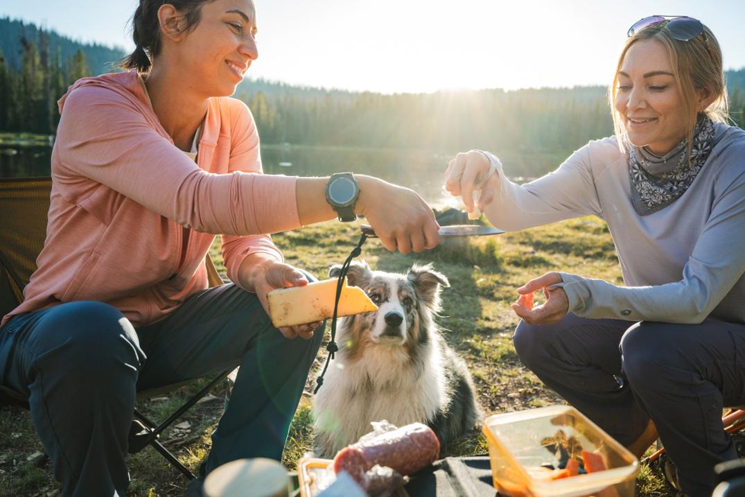 Location Image for Inspira Full-Zip Hoody - Women's