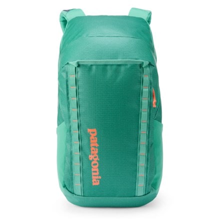 Patagonia Black Hole Pack - 32 L 4