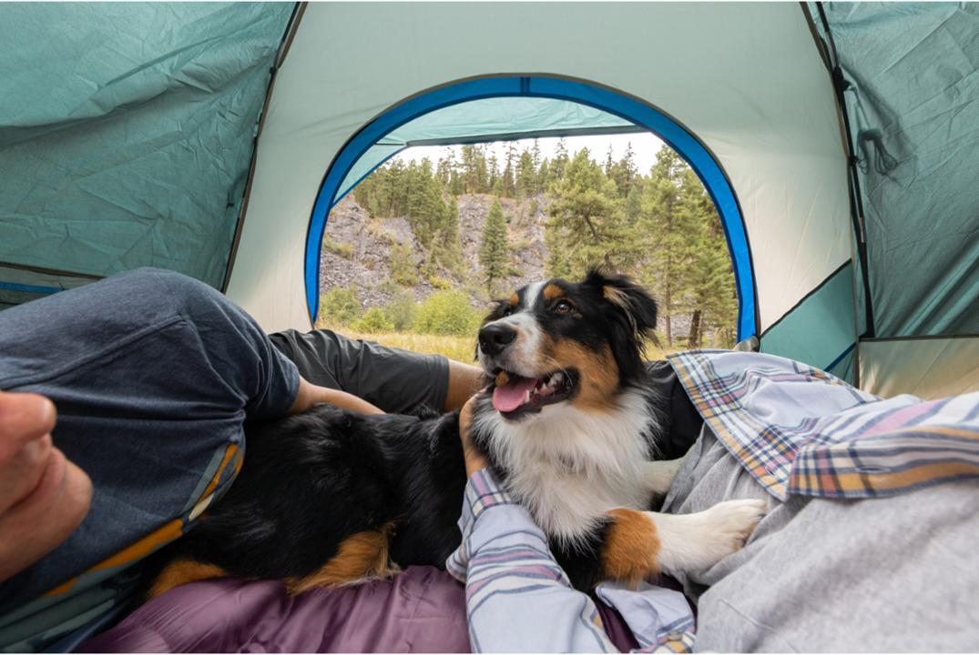 Location Image for Skydome 4-Person Tent