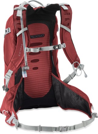suspension view (Silt Gray) (Radiant Red)