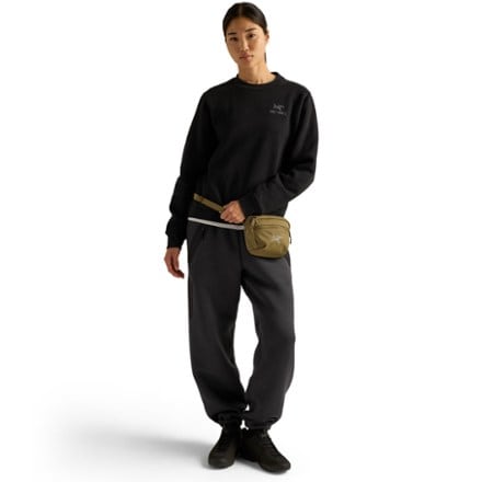 Arc'teryx Mantis 1 Waistpack 9