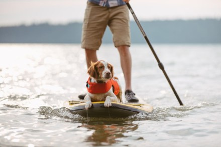 Ruffwear Float Coat Dog PFD 4