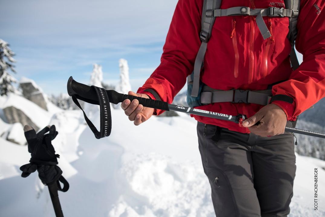 Location Image for DynaLock Explore Backcountry Poles - Pair