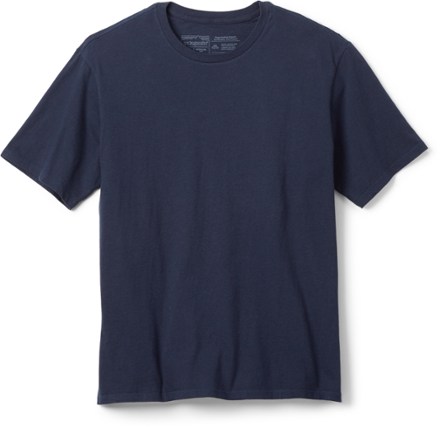 patagonia technical t shirt