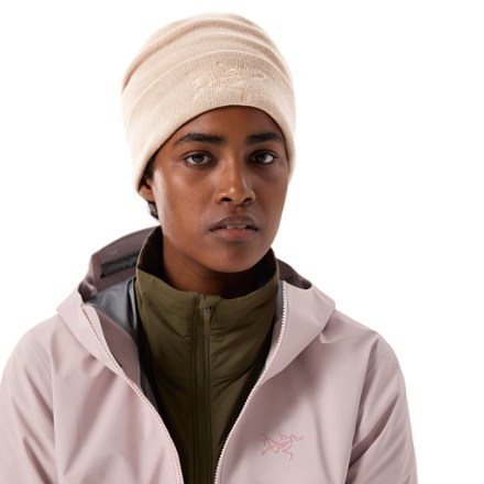Arc'teryx Embroidered Bird Toque 1