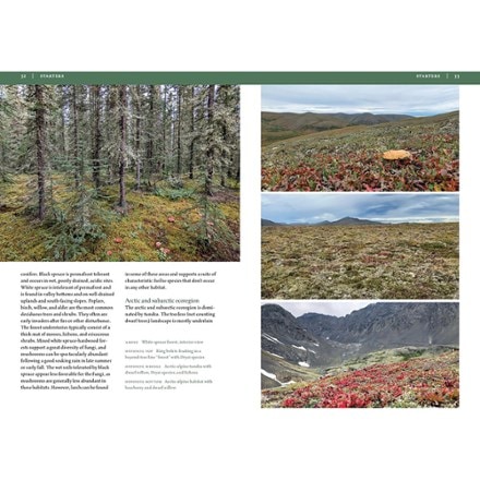 Timber Press Mushrooms Of Alaska 2