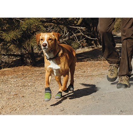 In-Use (Forest Green)