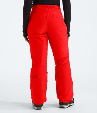 The North Face Descendit Snow Pants - Women's 1