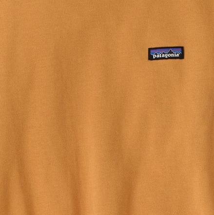 Swatch Image of color Dried Mango
