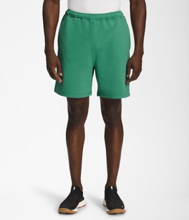 The North Face Heritage Patch Shorts - Men's 0