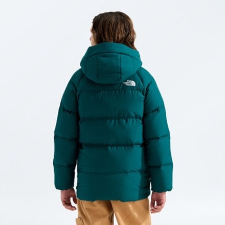 The North Face North Down Fleece-Lined Parka - Kids' 1
