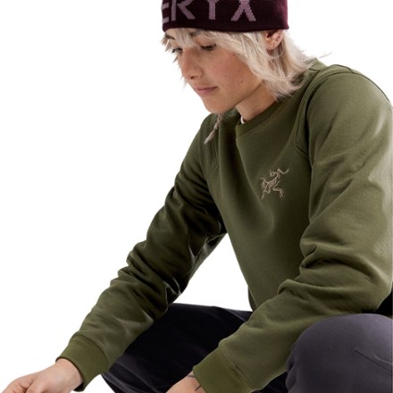 Arc'teryx Aestas Crew Pullover - Women's | REI Co-op