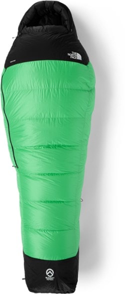 Detail Image of color Chlorophyll Green/Tnf Black