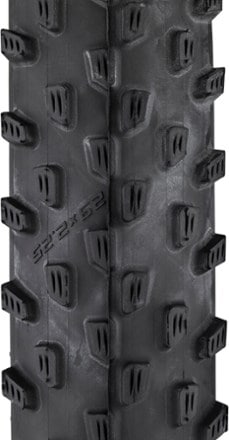 Schwalbe Racing Ray Performance Tire 1