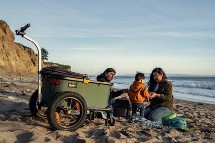 Burley Hopper Cargo Bike Trailer and Wagon 10